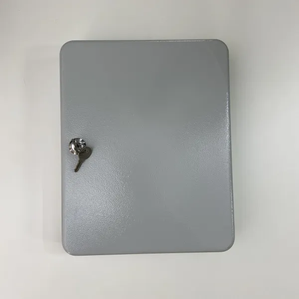 Nyckelskåp  Gray
