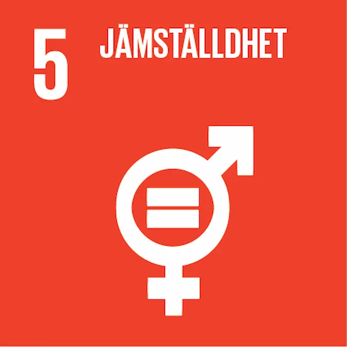 Sustainable Development Goals Icons 05 1 Content