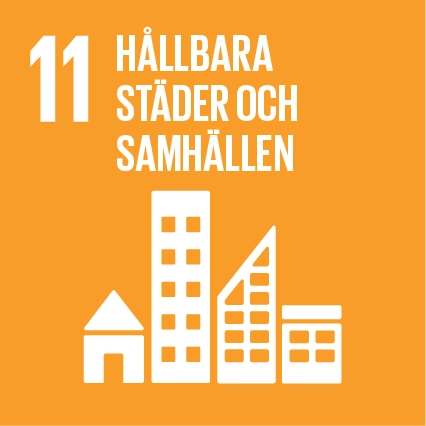 Sustainable Development Goals Icons 11 1