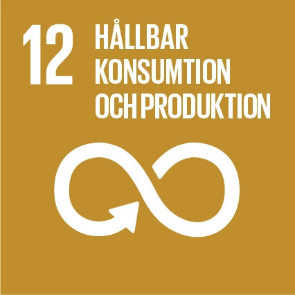 Sustainable Development Goals Icons 12 1