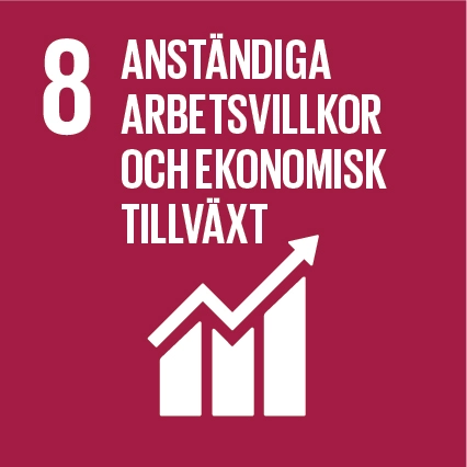 Sustainable Development Goals Icons 08 1
